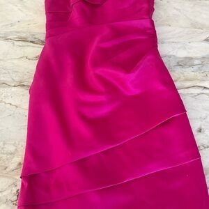 Elegant Fuchsia Dress